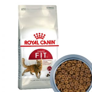 Thức ăn cho mèo Royal canin fit 32 dành cho mèo trưởng thành