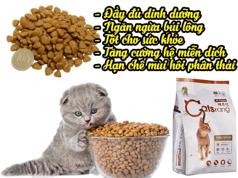 Thức ăn hạt khô cho mèo catsrang