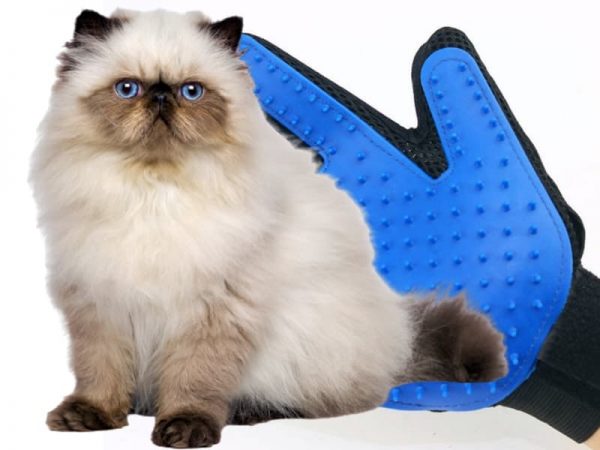 Găng Tay Lấy Lông Cho Chó Mèo có cấu tạo đơn giản, sử dụng dễ dàng