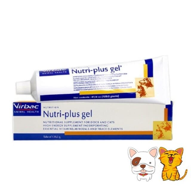 Gel dinh dưỡng Virbac - Nutri Plus giúp cung cấp vitamin và khoáng chất thiết yếu