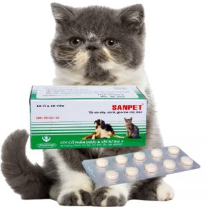 Tìm hiểu thuốc tẩy giun sanpet và kiến thức cần biết khi tẩy giun chó mèo