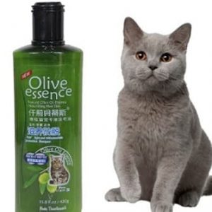 Lựa chọn đơn vị uy tín, đáng tin cậy khi đặt mua sữa tắm cho mèo olive essence