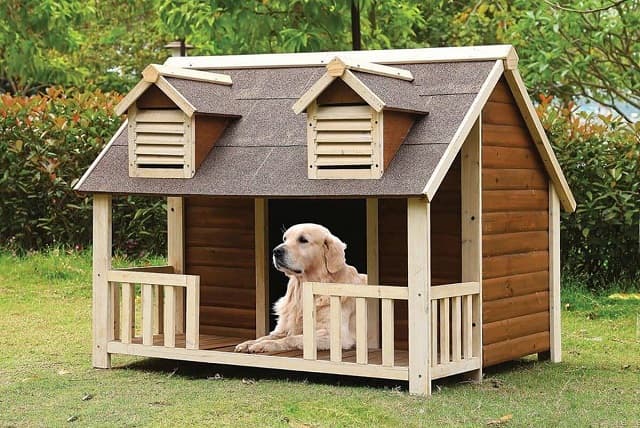 Nhà cho chó không gian riêng thoải mái cho thú cưng