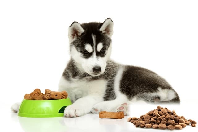 Thức ăn smartheart dành cho chó con